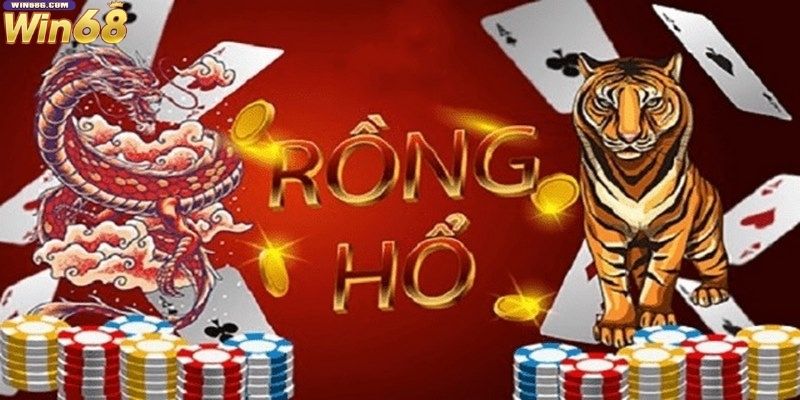 Giới thiệu Rồng Hổ