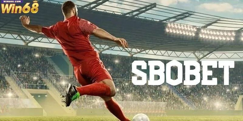 Sbobet Win68 có gì đặc biệt khiến cộng đồng cược thủ say mê?