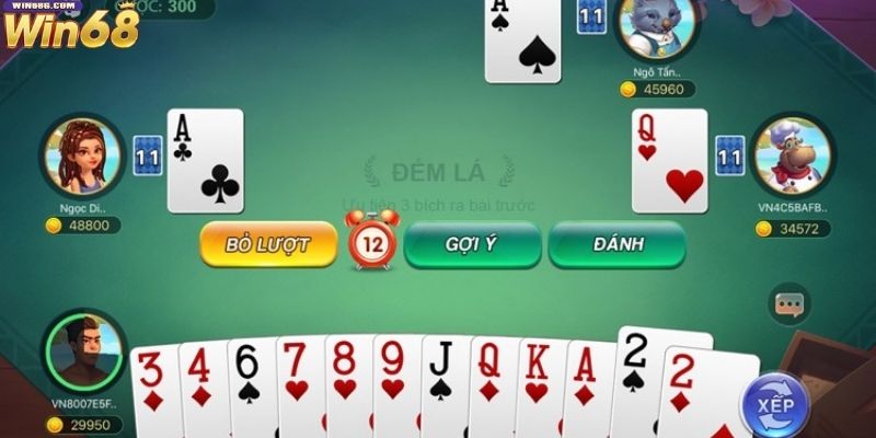 Tổng quan về Catte Win68