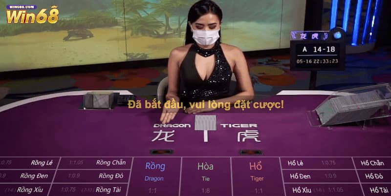 Chi tiết mẹo chơi rồng hổ Win68 cho newbie